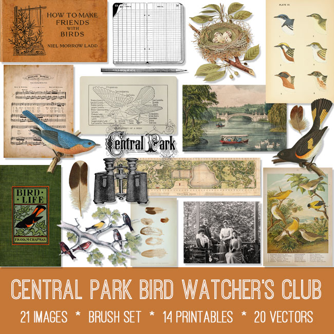 Central Park Bird Watcher's Club ephemera vintage images