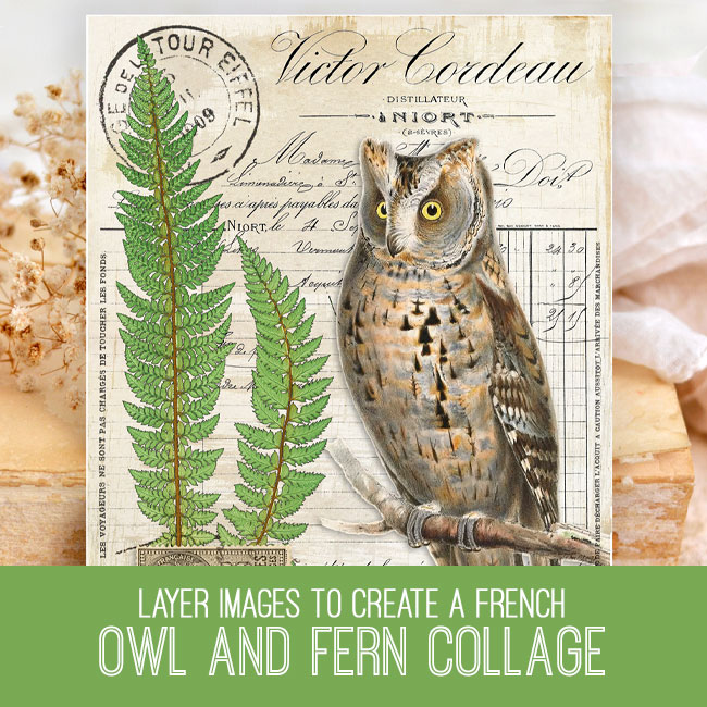 owl and fern collage photoshop elements tutorial