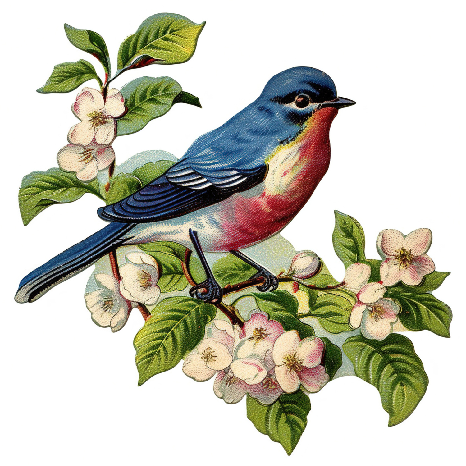 Blue Birds Set Stock Illustration - Download Image Now - Bird