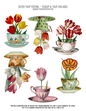 Assorted Dutch Tulip Fesitval Teacup & Tulip Collages