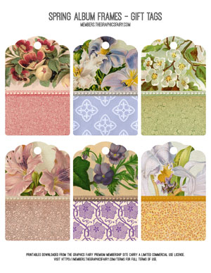 Spring Album Frame Assorted Gift Tags