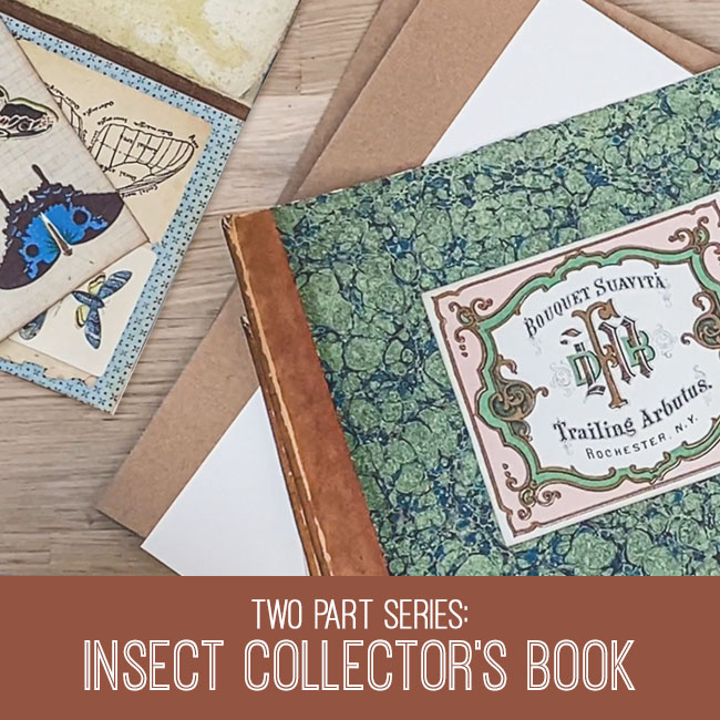 Insect Collector's Book Craft Tutorial