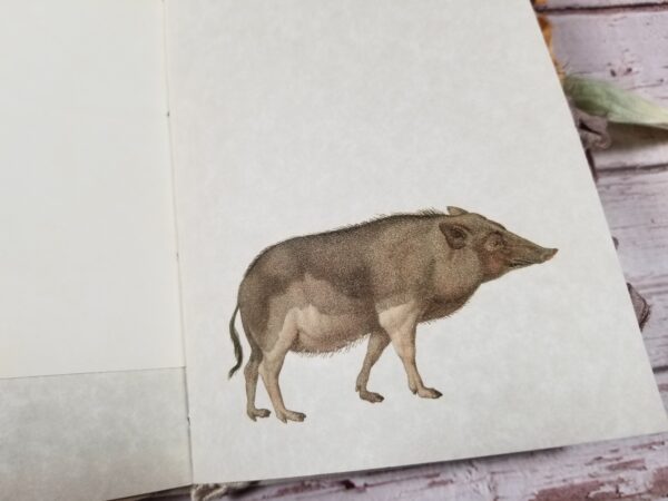 Junk journal spread with wild pig image