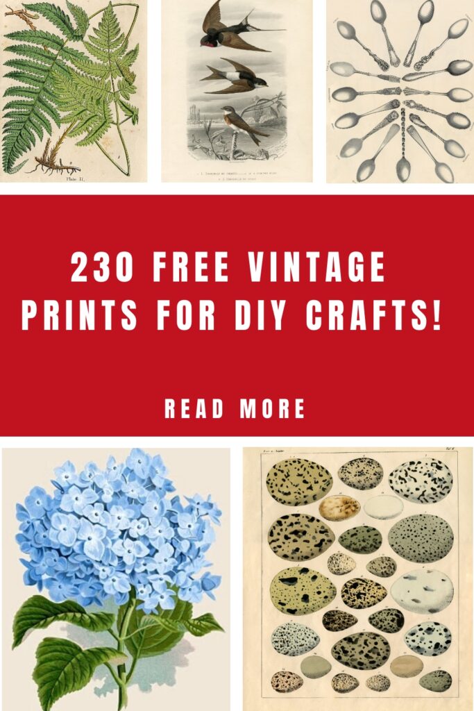 Free Vintage Prints Pin