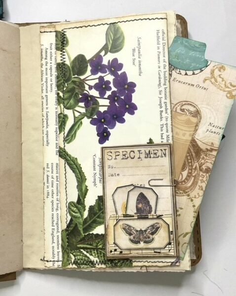 Junk journal spread with specimen label