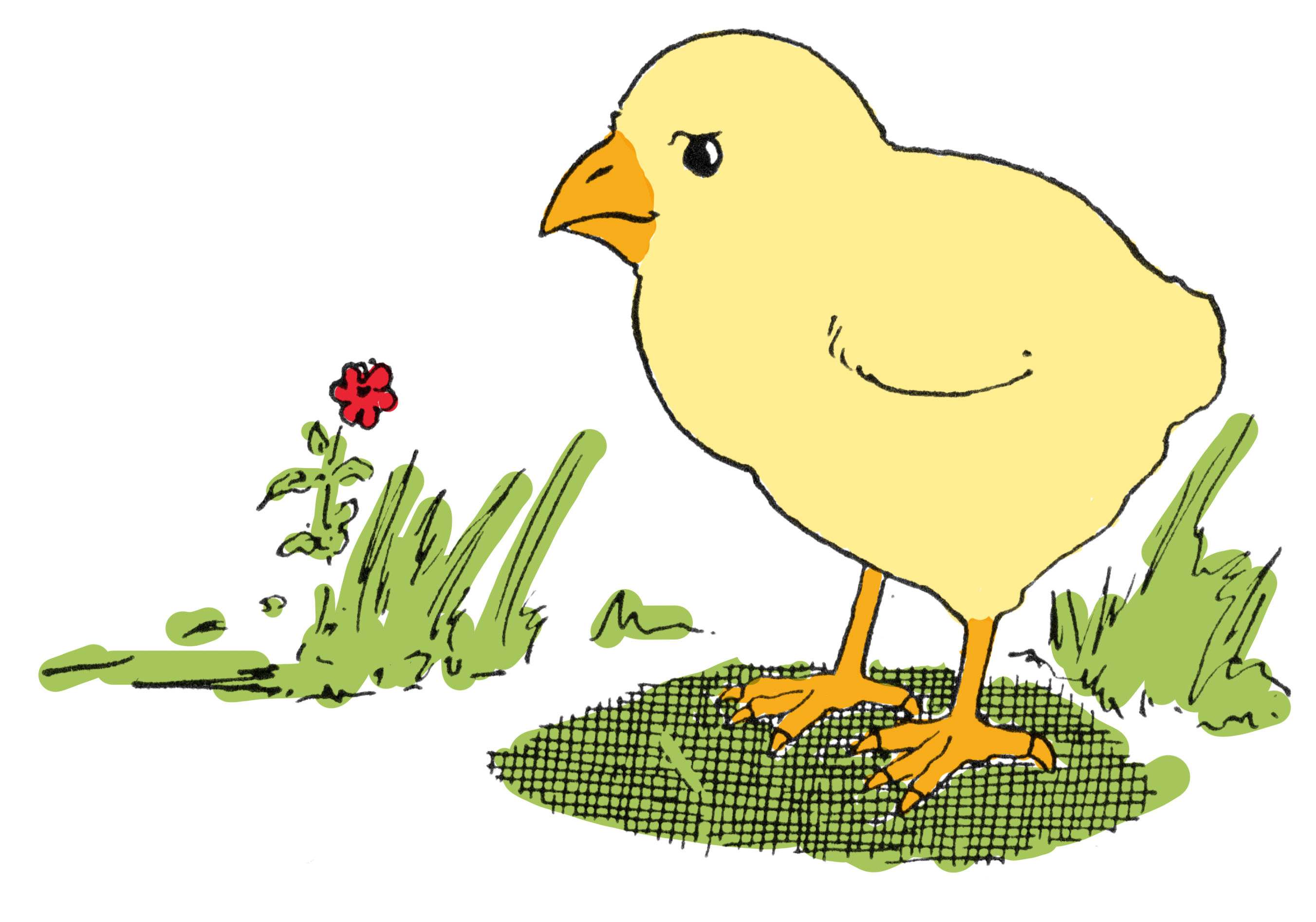 Baby Chick Drawing Stock Illustration - Download Image Now - Animal, Baby  Chicken, Bird - iStock