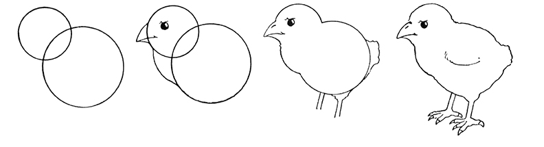 Chick Drawing Worksheet