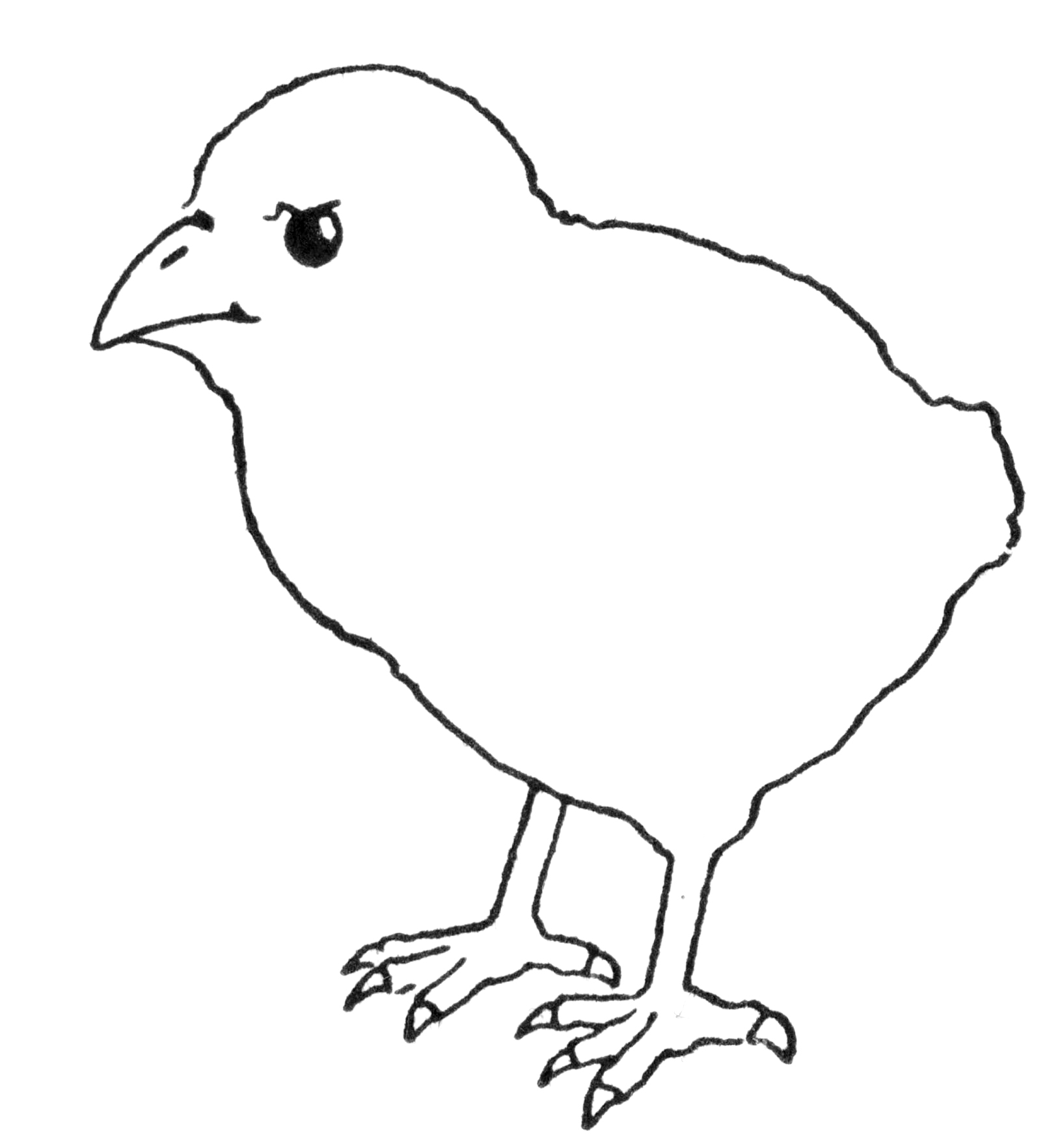 Chick Drawing Step4 GraphicsFairy