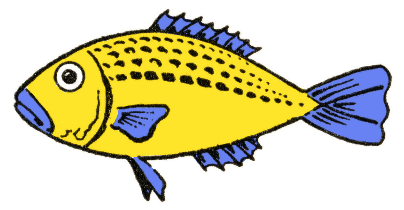 How to draw a fish easily