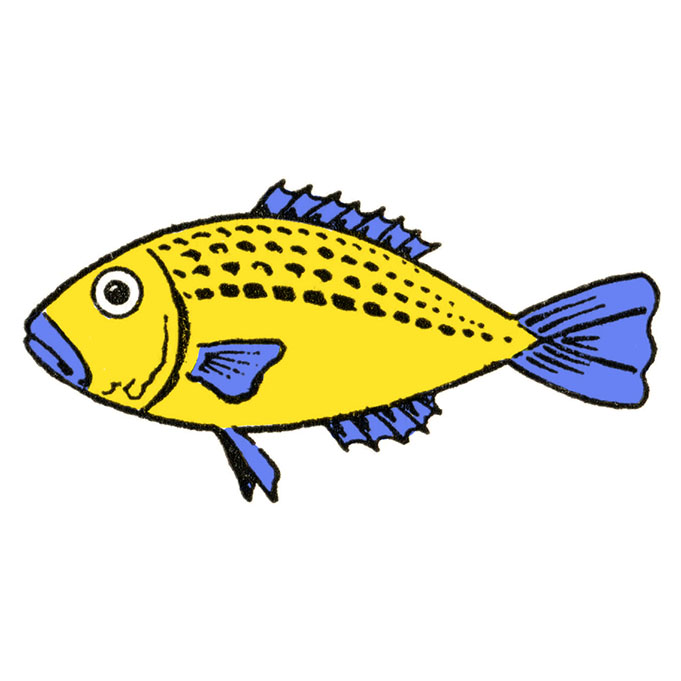 Easy How to Draw a Fish Tutorial and Fish Coloring Page