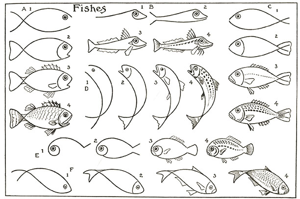 Fish Drawing Practice Sheet