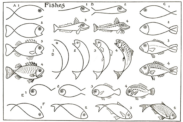 Fish Drawing Tutorial - How to draw Fish step by step