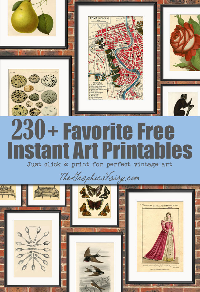 230 Free Vintage Prints: Printable Wall Art - The Graphics Fairy