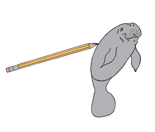 Manatee - Art Starts