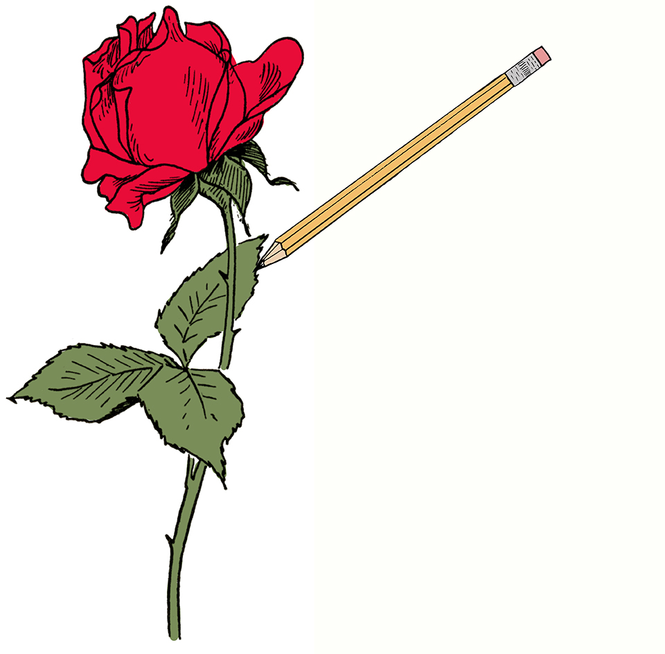 Simple Rose Drawing