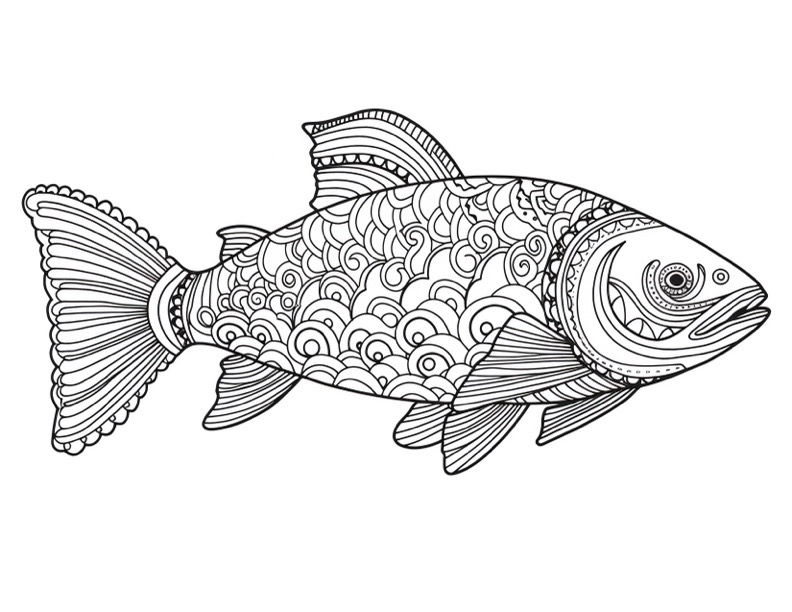 Five Cartoon Sea Fishes Color Variation Coloring Page Isolated White Stock  Vector by ©yadviga 658940908