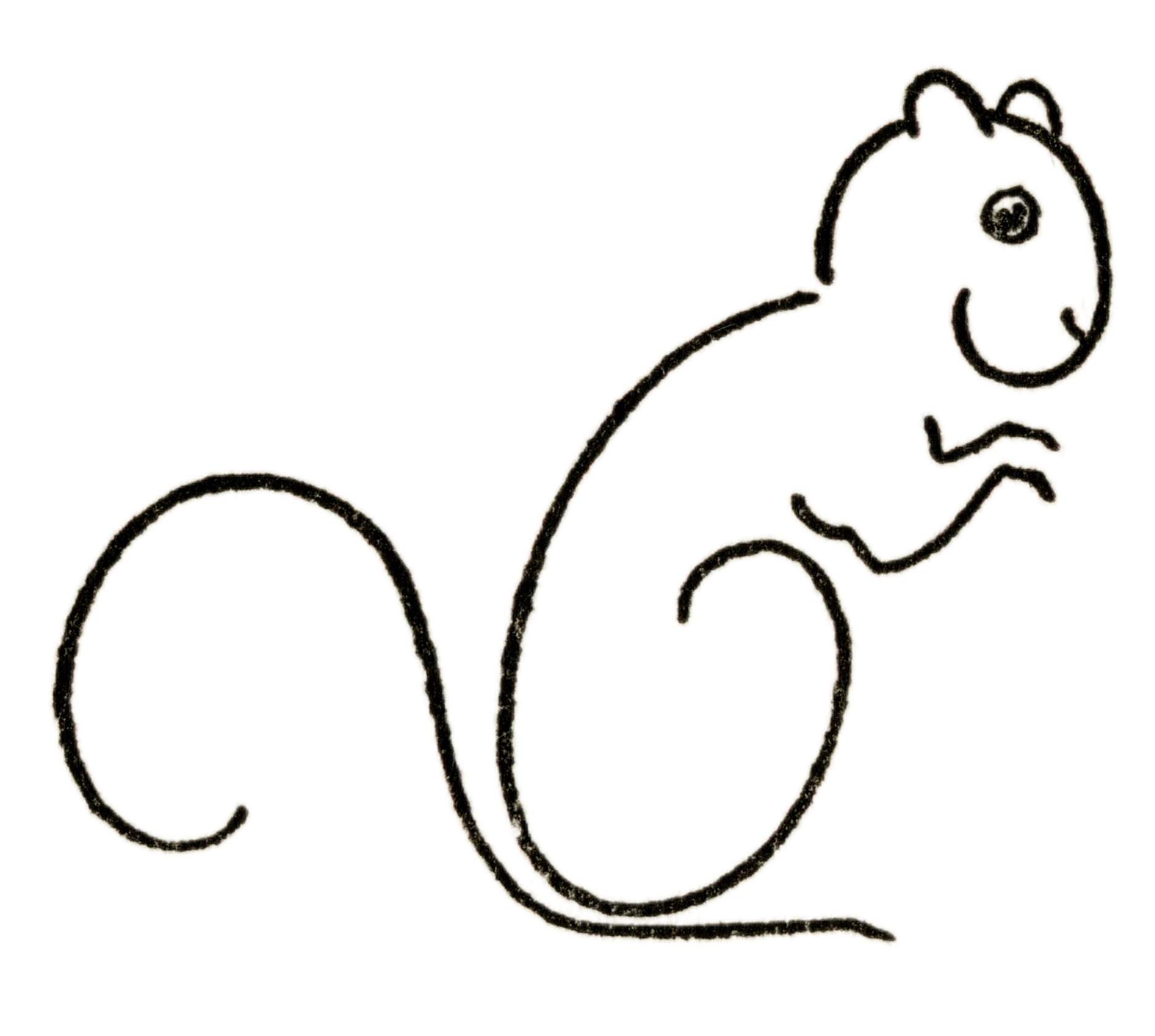 How to Draw a Flying Squirrel - DrawingNow