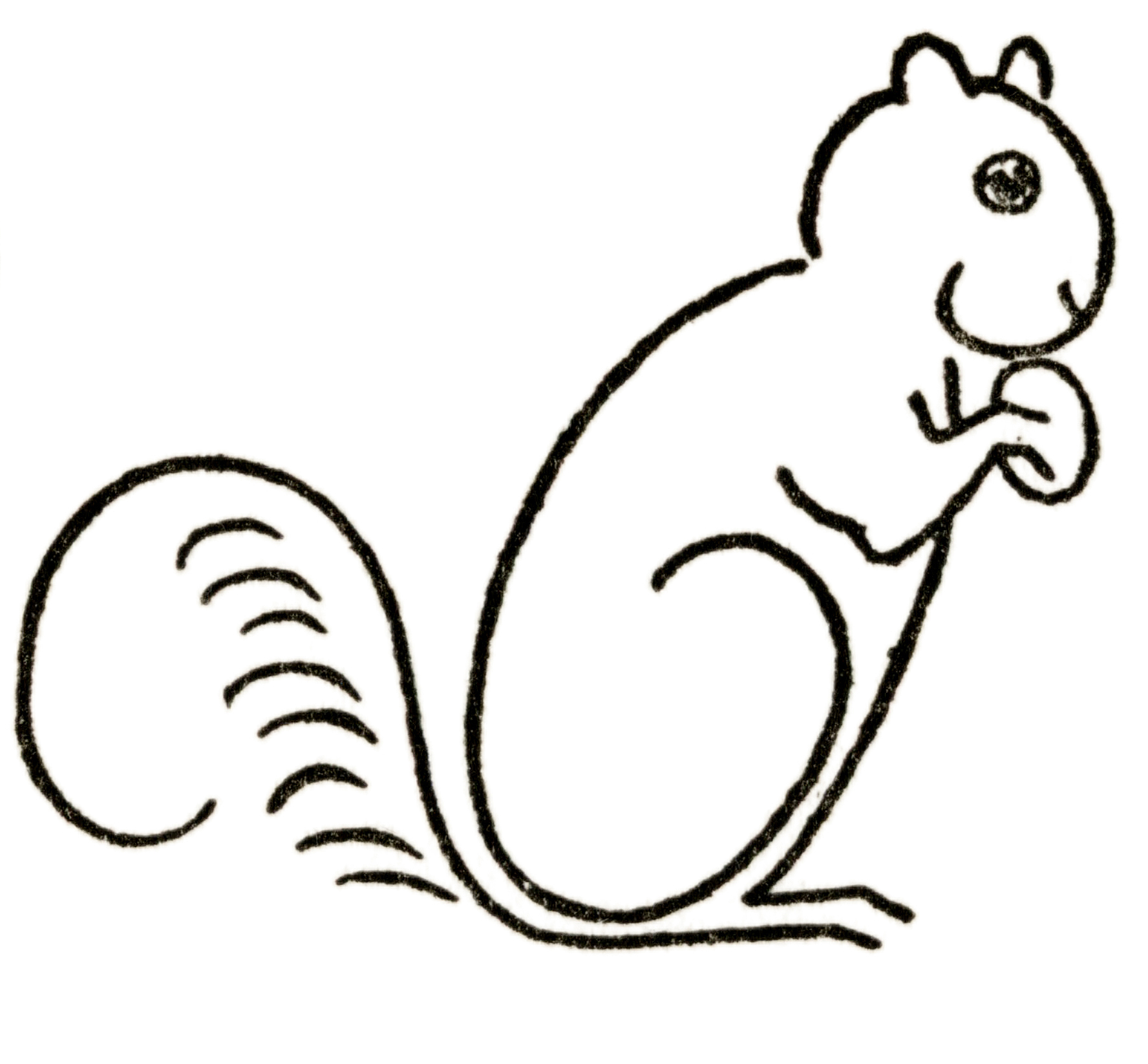 How to Draw a Simple Squirrel