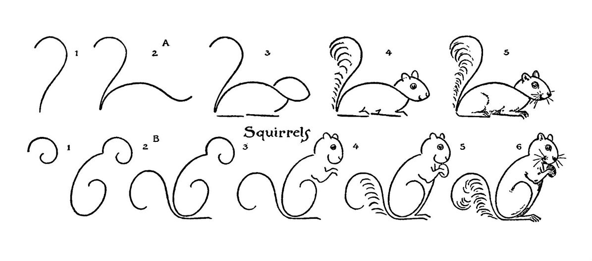 How to Draw a Squirrel - Easy Drawing Art