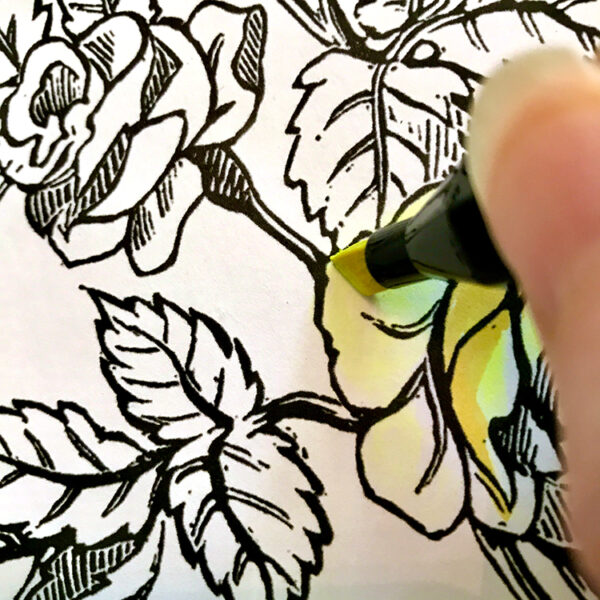 How to Make Inkjet Prints Waterproof! The Graphics Fairy