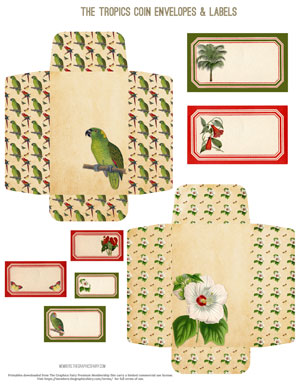 The Tropics printable Coin Envelopes and Labels