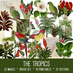 vintage The Tropics ephemera Bundle