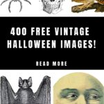 400 Free Halloween Images Pin