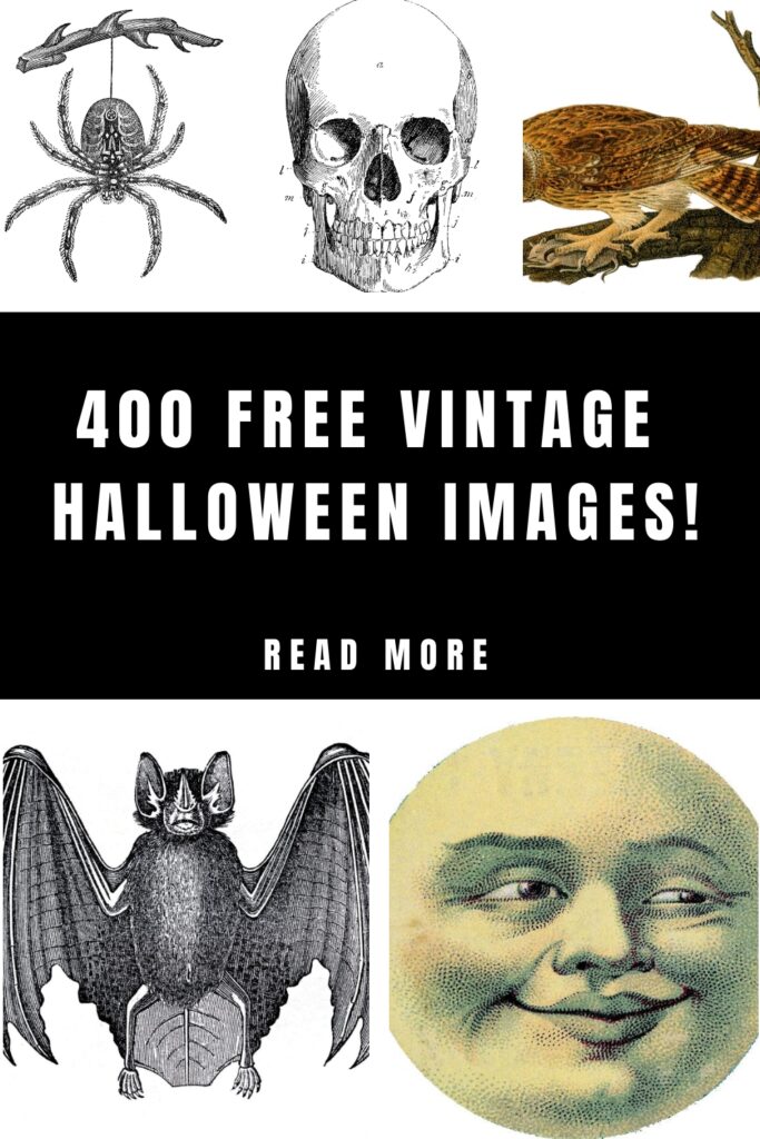 400 Free Halloween Images Pin