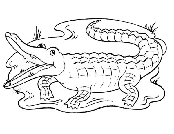 5 Alligator Coloring Pages! - The Graphics Fairy