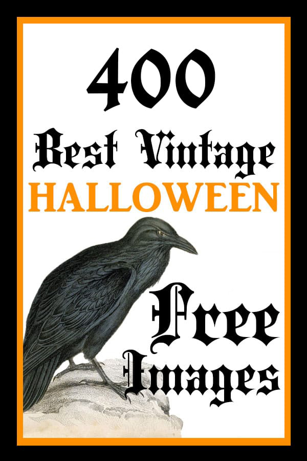 Free Halloween Transparent Gif, Download Free Halloween Transparent Gif png  images, Free ClipArts on Clipart Library