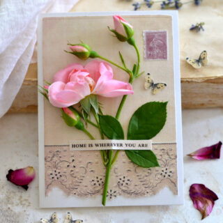 Birthday card for mom - the pink rose