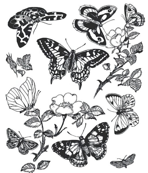 14 Butterfly Coloring Pages for Adults! - The Graphics Fairy