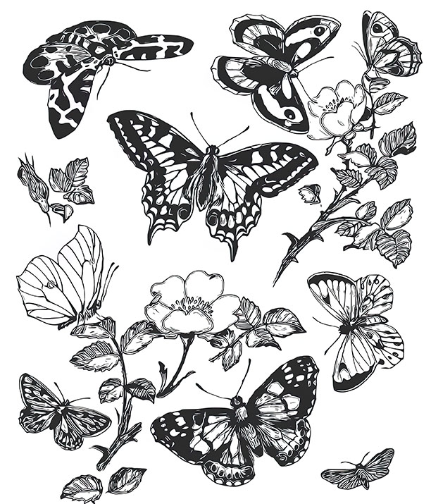 Set of 4 Flowers, Adult Coloring Printable Pages, Butterfly PDF