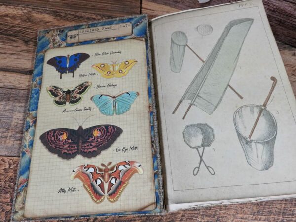 Junk journal spread with butterfly net images