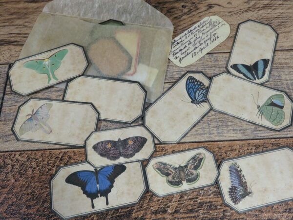 Butterfly labels and glassine envelope