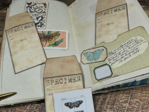 Junk journal spread with specimen envelopes