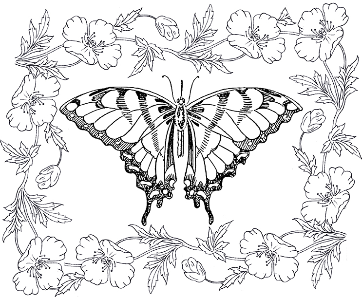 draw coloring book pages for adults