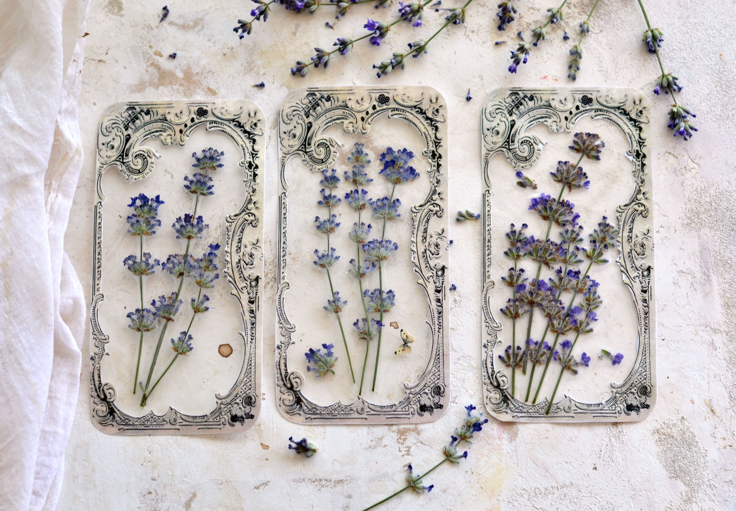 What to do with Pressed Flowers! - The Graphics Fairy