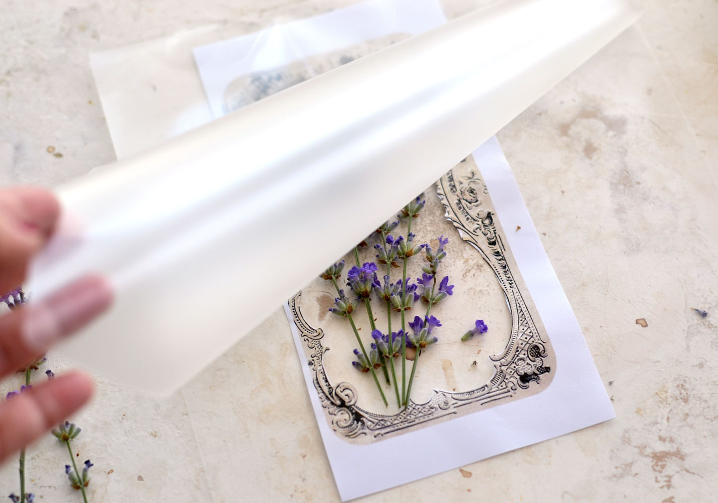 Laminating dried flowers