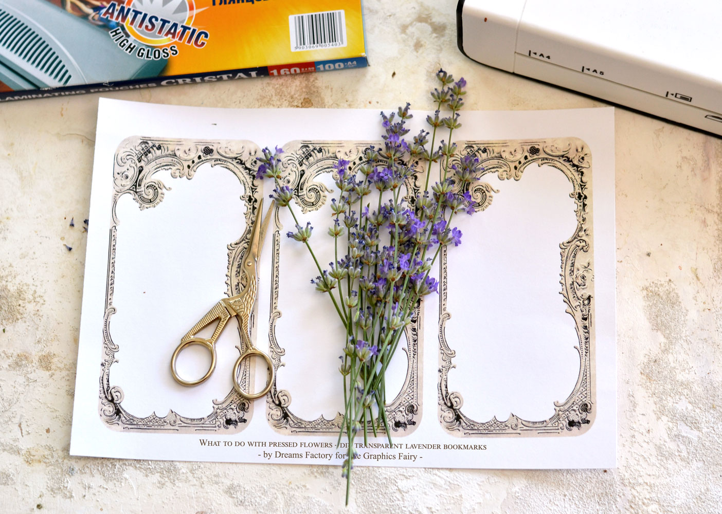 Large Laminated Bookmark With Real Pressed Flowers, Dried Flowers