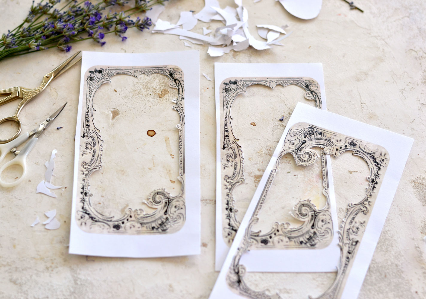 DIY Pressed Flowers Transparent Lavender Bookmarks - Dreams Factory