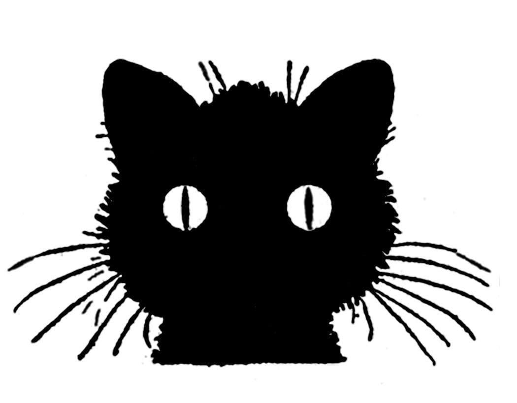 retro vintage black cat