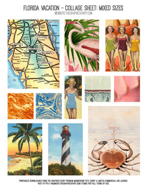 Florida Vacation Assorted Mixed Sizes Collage Sheet