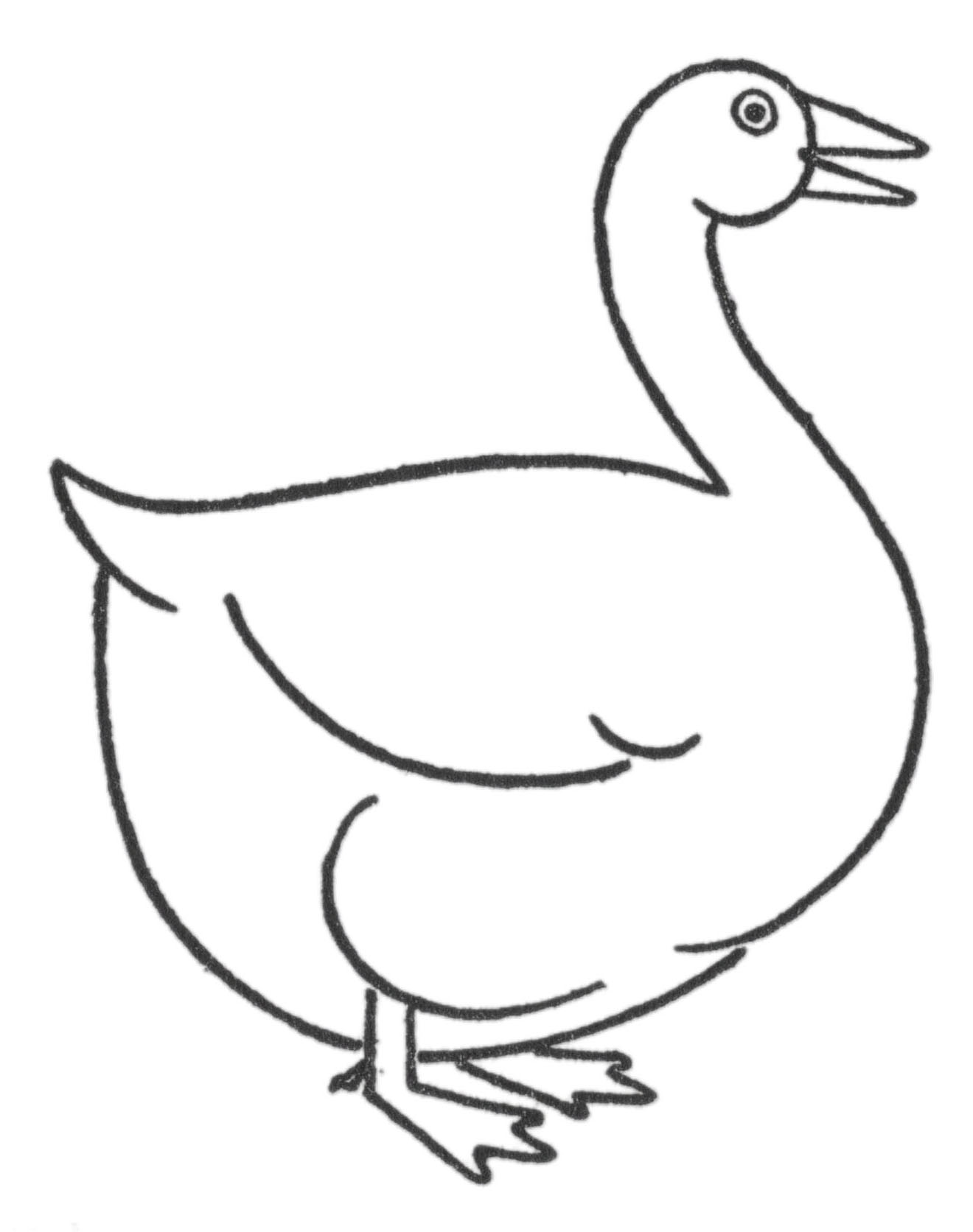 Drawing of a Goose (Step by Step!) - The Graphics Fairy