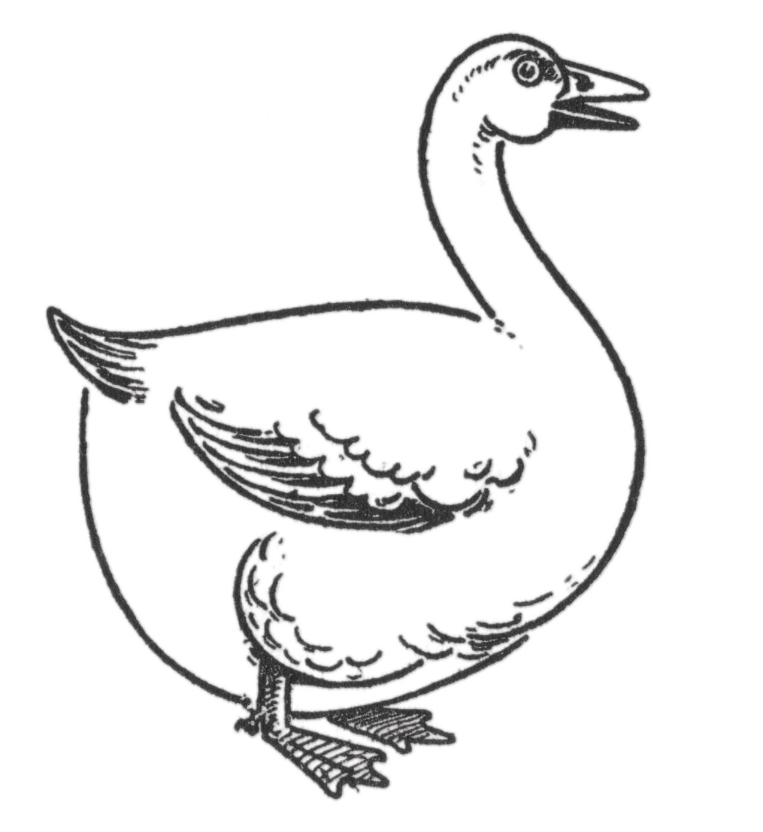 How To Draw A Goose