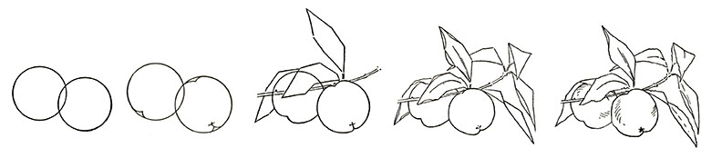 How to Draw Peaches Worksheet