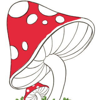 Mushroom Drawing Easy