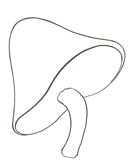 Mushroom Drawing Easy Step2 GraphicsFairy