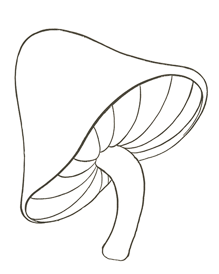 Adding lines to Mushroom Drawing
