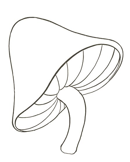 Mushroom Drawing Easy Step3 GraphicsFairy